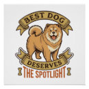 Search for chow puppy posters Animal