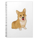 Search for corgi notebooks Wolf