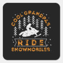 Search for snowmobile stickers Riding