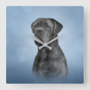 Recherche de canne horloges Dog