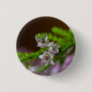 Search for spring bloom buttons Flower