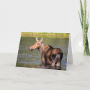 Recherche de montana vœux cartes Chuck haney