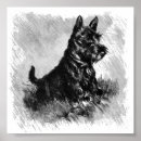 Recherche de de scottie art Scottish terrier