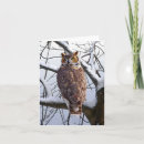 Search for bird art note cards Owls