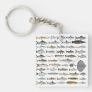 Search for freshwater keychains Fish