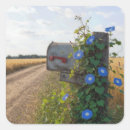 Search for morning glory flowers stickers Summer