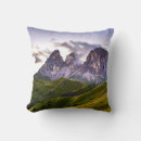Search for green and gray pillows Vintage
