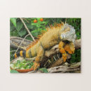 Recherche de reptile puzzles Animal de compagnie