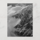 Search for four vertical postcards Snow