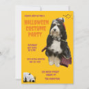 Search for dog halloween invitations Funny