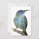 Search for hummingbird cards Blue