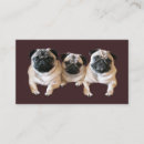 Search for pug business cards Puppy
