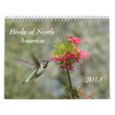 Search for watcher office supplies Wildlife