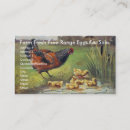 Search for eggs for sale business cards Hen