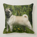 Recherche de balais coussins Chien