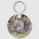 Search for squirrel keychains Rodents
