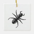 Search for ant ornaments Animal