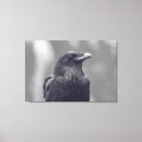 Search for black and white bird canvas prints Raven
