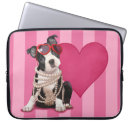 Recherche de boston terrier valentine Rose