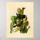 Search for common art Lithograph