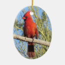 Recherche de ornement cardinal ornements Rouge