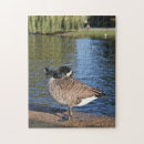 Search for duck puzzles Water