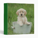 Search for bath avery binders Dog