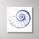 Search for beach shells canvas prints Nautilus