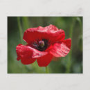 Recherche de seul cartes postales Rouge