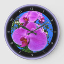 Recherche de orchidées blanches horloges Orchidée blanche