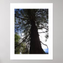 Recherche de colors photographie Toute personne