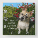 Recherche de sympathie horloges Chien