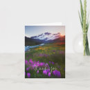 Search for green river cards Watercolor