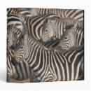 Search for kenya binders Animal