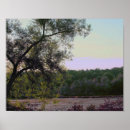 Search for wetland art Photography