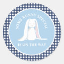 Search for blue and white gingham stickers Baby shower