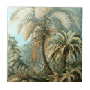 Search for fern tiles Plants