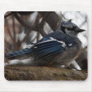 Search for cool birds mousepads Blue