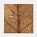 Recherche de couleur marron magnets Automne
