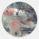 Search for koi fish stickers Animals
