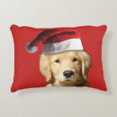 Search for golden retriever christmas pillows Santa