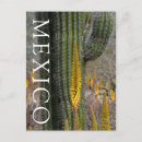 Search for close up postcards Judith zimmerman
