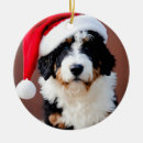 Search for bernedoodle ornaments Funny