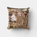 Search for funny sheep pillows Farms