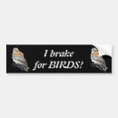 Search for falcon bumper stickers Bird