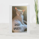 Search for upset cards Photography