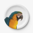 Search for parrot plates Animals
