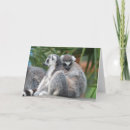 Search for lemures cards Lemurs