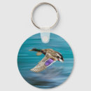 Search for flying mallard keychains Duck