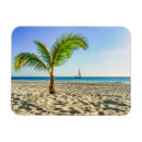 Recherche de palmiers tropicaux magnets Plage